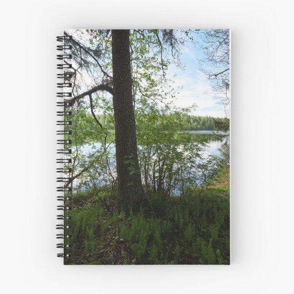 Item preview, Trees by the lake. Taulajarvi 2025 designed and sold by Jouko Lehto Photography.