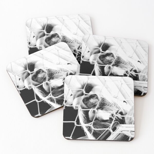 Item preview, Black And White Colobus Monkey Mother And Baby designed and sold by ShutterbugBttns.