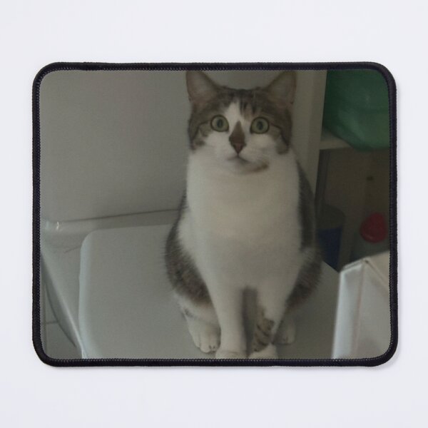 Item preview, toilet cat :o designed and sold by proteinpanda.