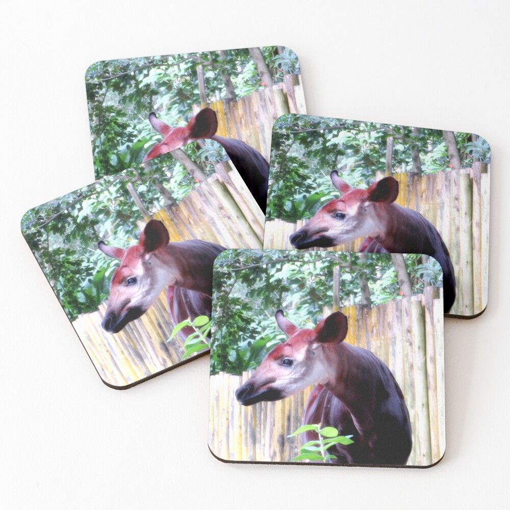 Item preview, Coasters (Set of 4) designed and sold by ShutterbugBttns.