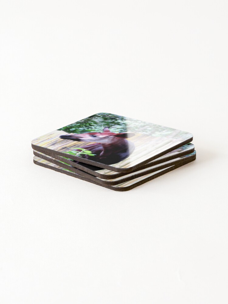 Thumbnail 4 of 5, Coasters (Set of 4), Okapi designed and sold by ShutterbugBttns.