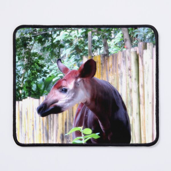 Item preview, Okapi designed and sold by ShutterbugBttns.