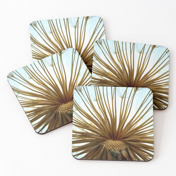 Item preview, salsify flower  designed and sold by IgorKovalenko.