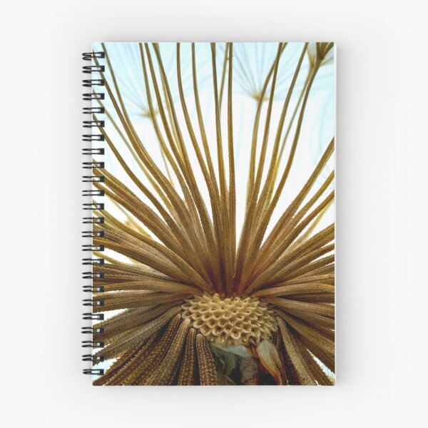 Item preview, salsify flower  designed and sold by IgorKovalenko.