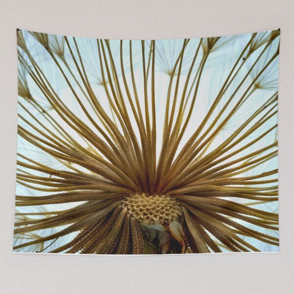 Item preview, salsify flower  designed and sold by IgorKovalenko.