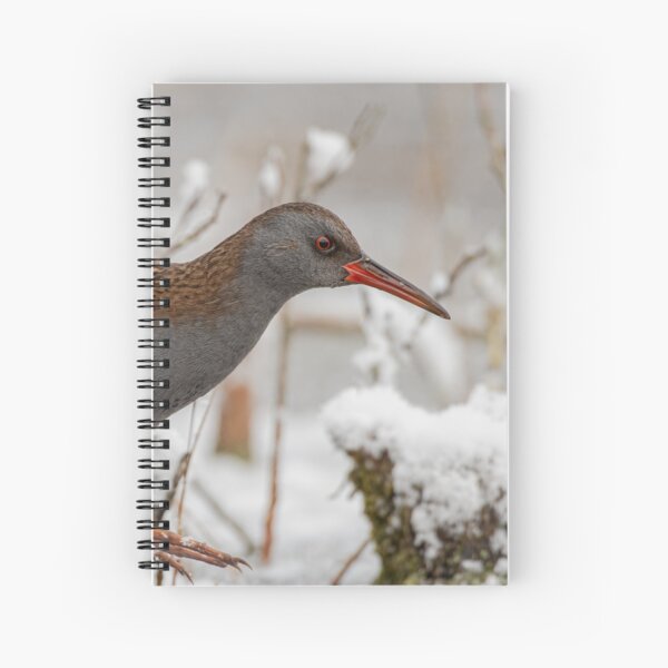 Item preview, Waterrail  designed and sold by nikonshoot.