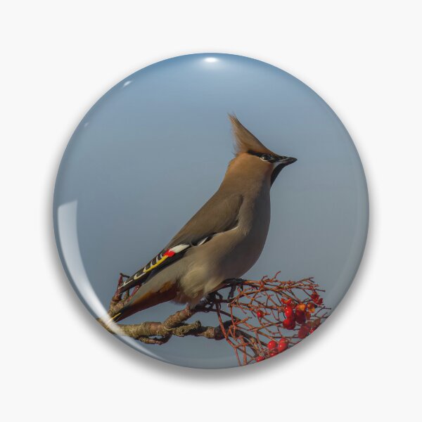 Item preview, Waxwing  designed and sold by nikonshoot.