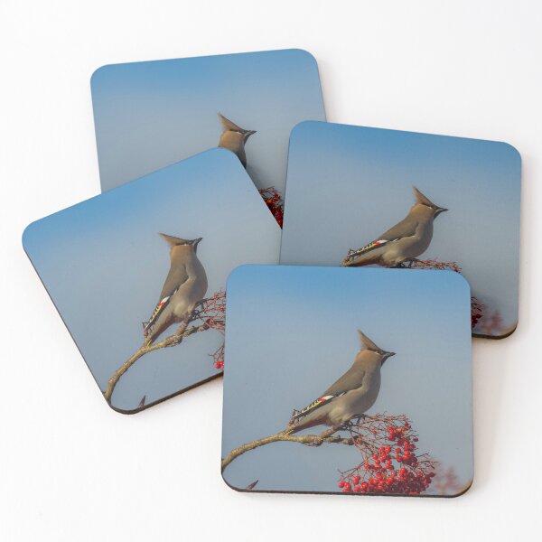 Item preview, Waxwing  designed and sold by nikonshoot.
