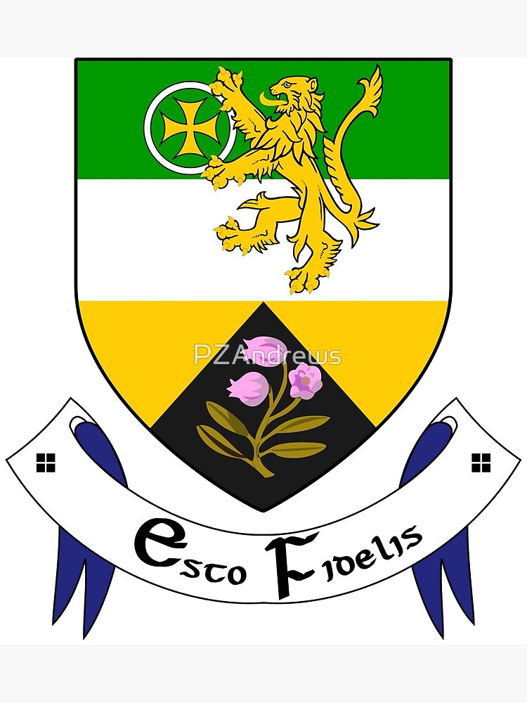 "Coat of Arms of County Offaly, Ireland" Art Print by PZAndrews | Redbubble