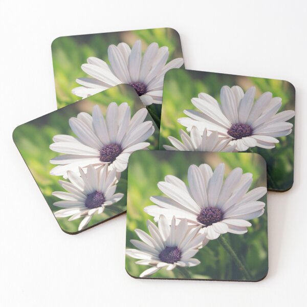 Item preview, Daisies Aesthetic - White and Purple Flower Photography designed and sold by CarolinaReina.