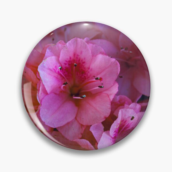 Item preview, Cherry Blossom  designed and sold by La Reina's View.