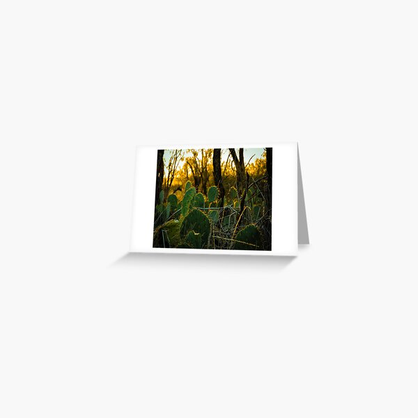 Item preview, Spines & Sol: Cactus in the Glow designed and sold by Courageous Uncaged.