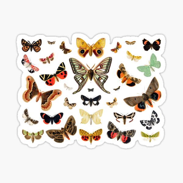 Item preview, Moths designed and sold by PeridotMoon.