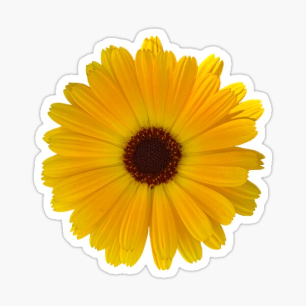 Item preview, Simple Yellow Daisy designed and sold by Poptart42.