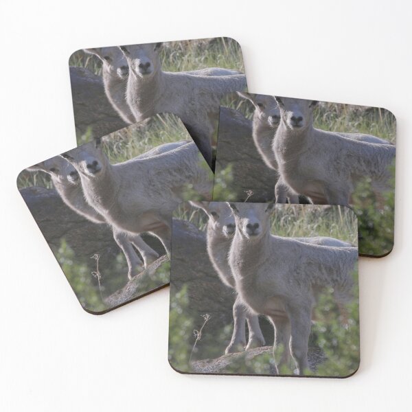Item preview, Bighorn Lambs keep watch  designed and sold by Scott Collins.
