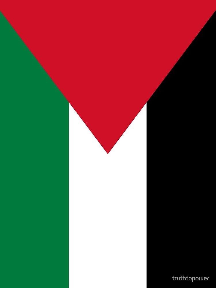 Thumbnail 5 of 5, Graphic T-Shirt, State of Palestine (Dawlat Filasṭīn)-2 designed and sold by truthtopower.
