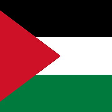 Artwork thumbnail, State of Palestine (Dawlat Filasṭīn)-2 by truthtopower