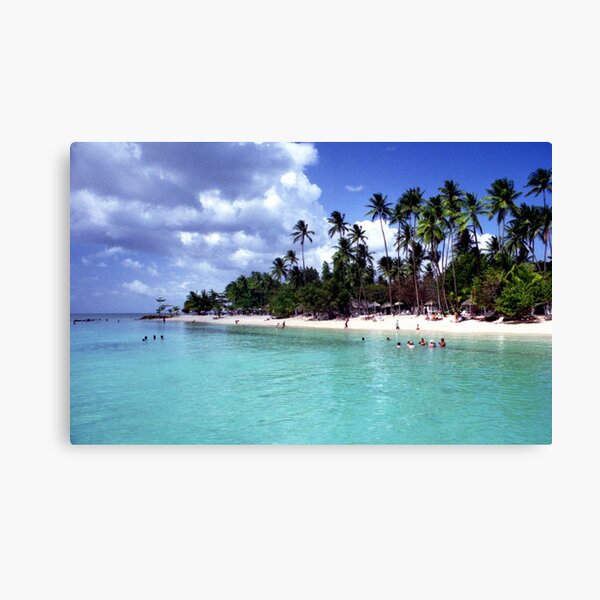 Pigeon Point Canvas Print