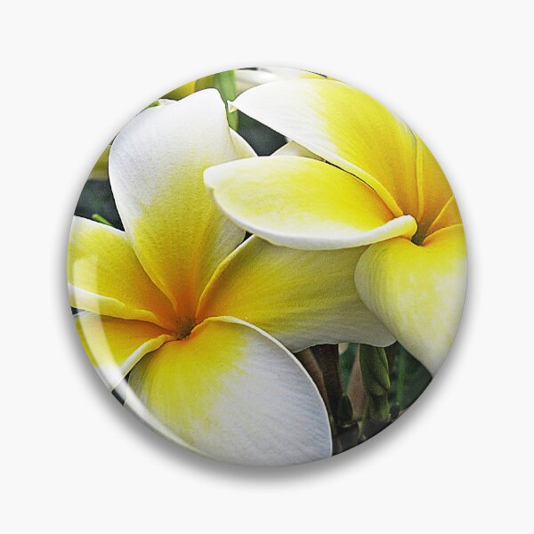 Item preview,  Espacio designed and sold by Ethna Gillespie.