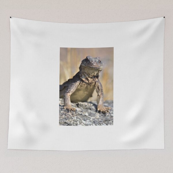 Item preview, Chuckwalla on watch designed and sold by Scott Collins.