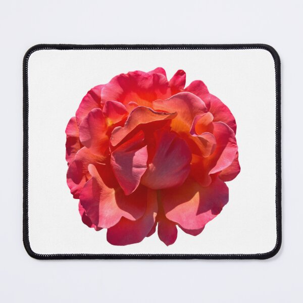 Item preview, Red Peach Rose Blossom designed and sold by Poptart42.