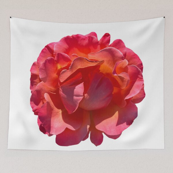 Item preview, Red Peach Rose Blossom designed and sold by Poptart42.