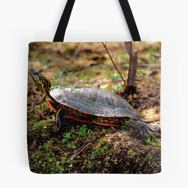 Item preview, Western Painted Turtle designed and sold by Larry Trupp.