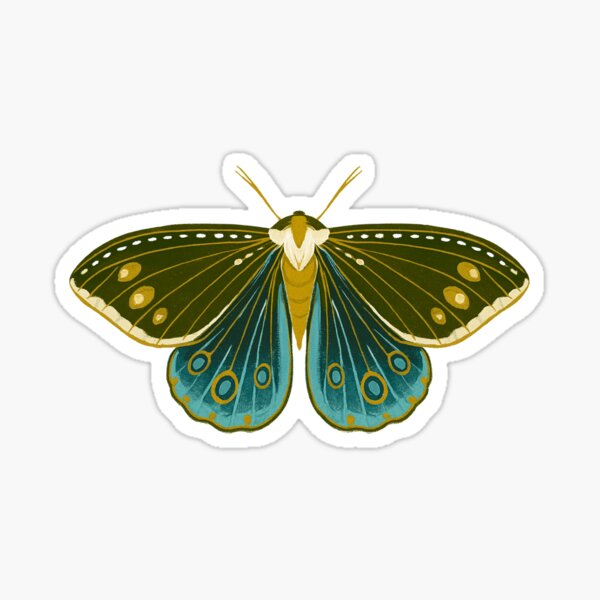 Olive & Teal Woodland Moth – Vinyl Sticker Sticker