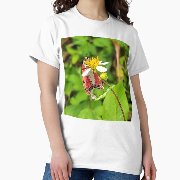 Item preview, Exotic  Pink, White & Black Butterfly RZ 6/23 designed and sold by Unlimited Imagination .