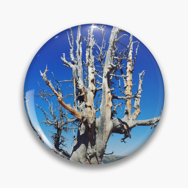 Item preview, Desert Tree  designed and sold by EchoFiveArt.