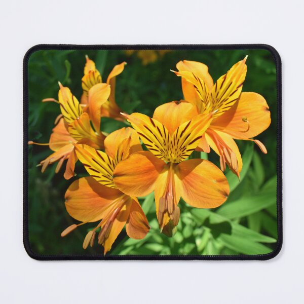 Item preview, Golden Flames of Nature designed and sold by Yolanda Caporn Art.