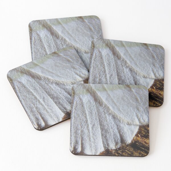 Item preview, the softness of a moth's wing. designed and sold by Kristin Morgan.