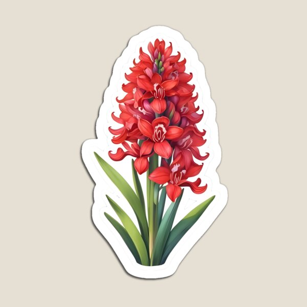 Aperçu de l'œuvre Jacinthe rouge créée et vendue par hometown86.