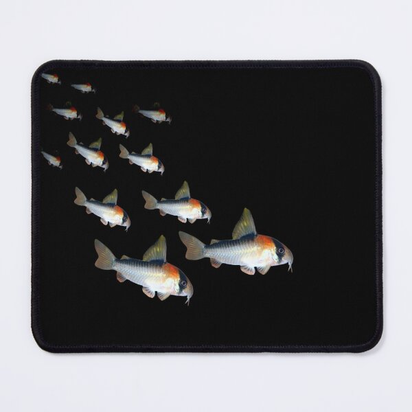 Item preview, Adolfoi Corydoras Schooling Aquarium Fish Tank Lovers Art designed and sold by Aquarium Eclipse.