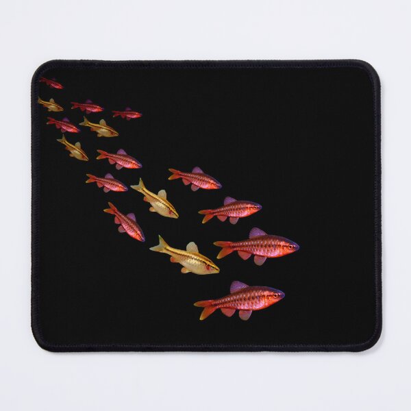 Item preview, Cherry Barbs Schooling Aquarium Fish Tank Lovers Art  designed and sold by Aquarium Eclipse.