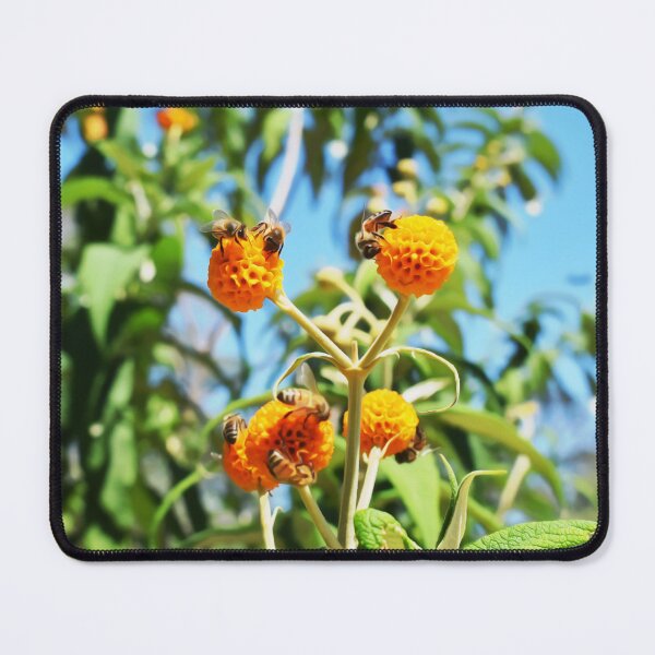 Item preview, Bees at Work designed and sold by Yolanda Caporn Art.