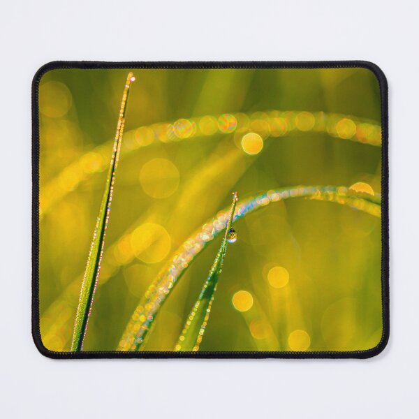 Item preview, June, summer begins 3 designed and sold by Veikko Suikkanen.