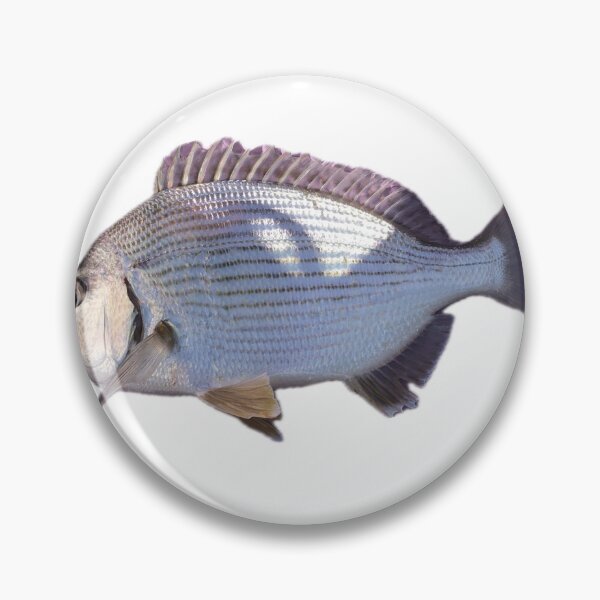 Item preview, 016 – Pagrus Auratus (Hedai) designed and sold by taichi69nz.