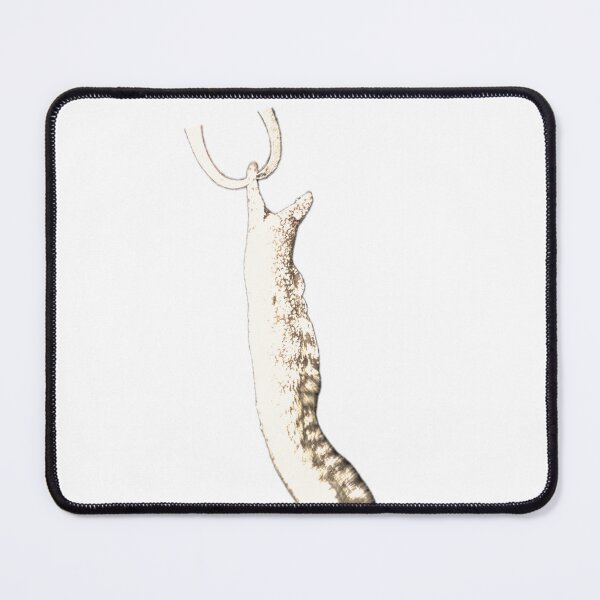 Item preview, 017 – Moray Eel (Utsubo) designed and sold by taichi69nz.