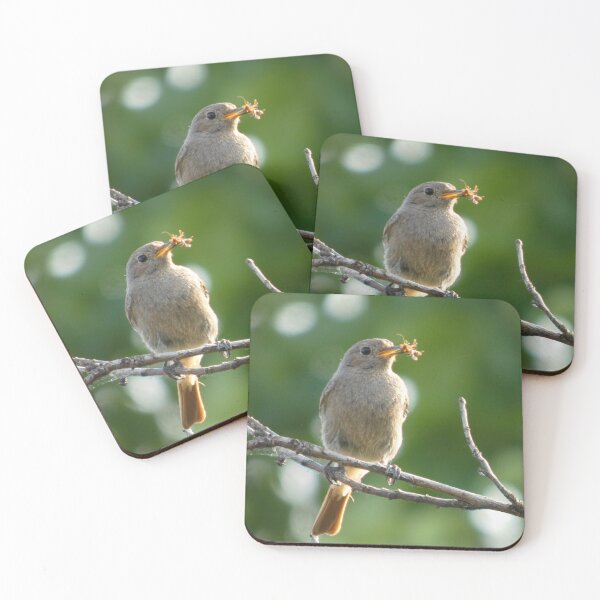 Item preview, Redstart with Prey on a Branch designed and sold by tothkataphoto.
