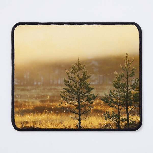 Item preview, 14.6.2025: Pine Trees at Marsh designed and sold by Petri Volanen.