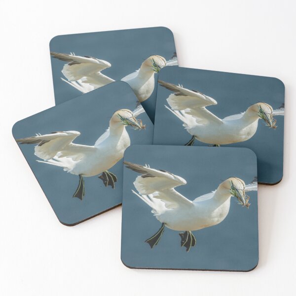 Item preview, Nest Building designed and sold by 1icreations.