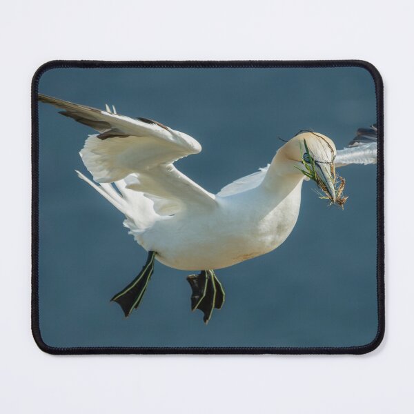 Item preview, Nest Building designed and sold by 1icreations.