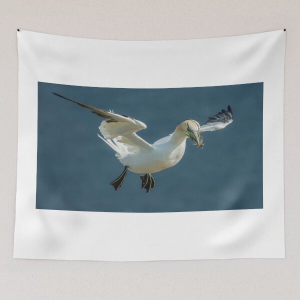Item preview, Nest Building designed and sold by 1icreations.