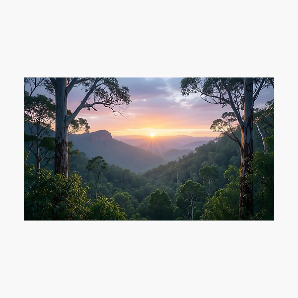 Item preview, Australian Rainforest in Northern New South Wales designed and sold by OzCamera.