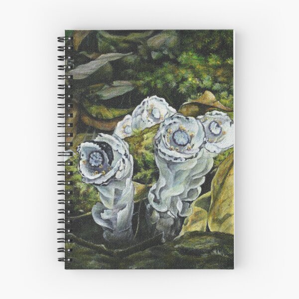 Item preview, Glass orchids (Monotropastrum humile) designed and sold by Anna Ratkevich.