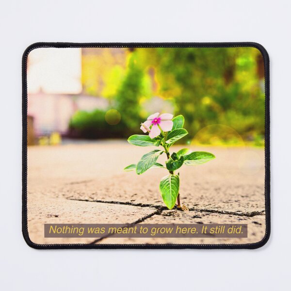 Item preview, Urban Photography With Movie-Like Caption designed and sold by holaitssher.
