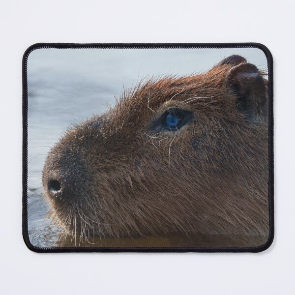 Item preview, Capybara Side Glance designed and sold by rawshutterbug.