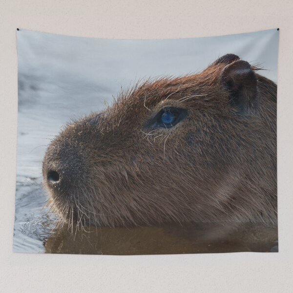 Item preview, Capybara Side Glance designed and sold by rawshutterbug.