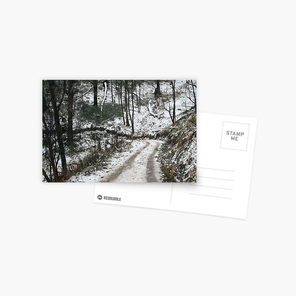 No overtaking Postcard